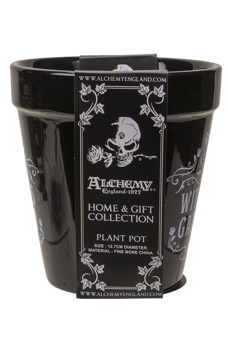 Witches Garden Planter