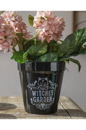 Witches Garden Planter